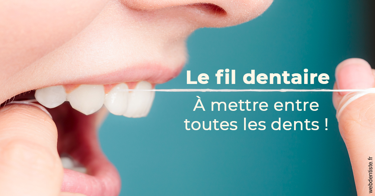 https://dr-thomas-valerie.chirurgiens-dentistes.fr/Le fil dentaire 2