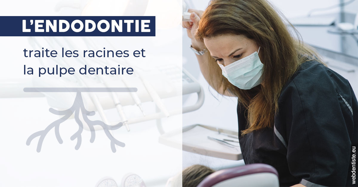 https://dr-thomas-valerie.chirurgiens-dentistes.fr/L'endodontie 1