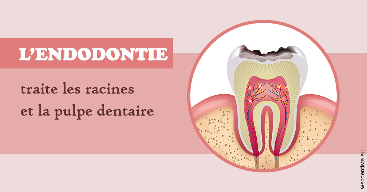 https://dr-thomas-valerie.chirurgiens-dentistes.fr/L'endodontie 2