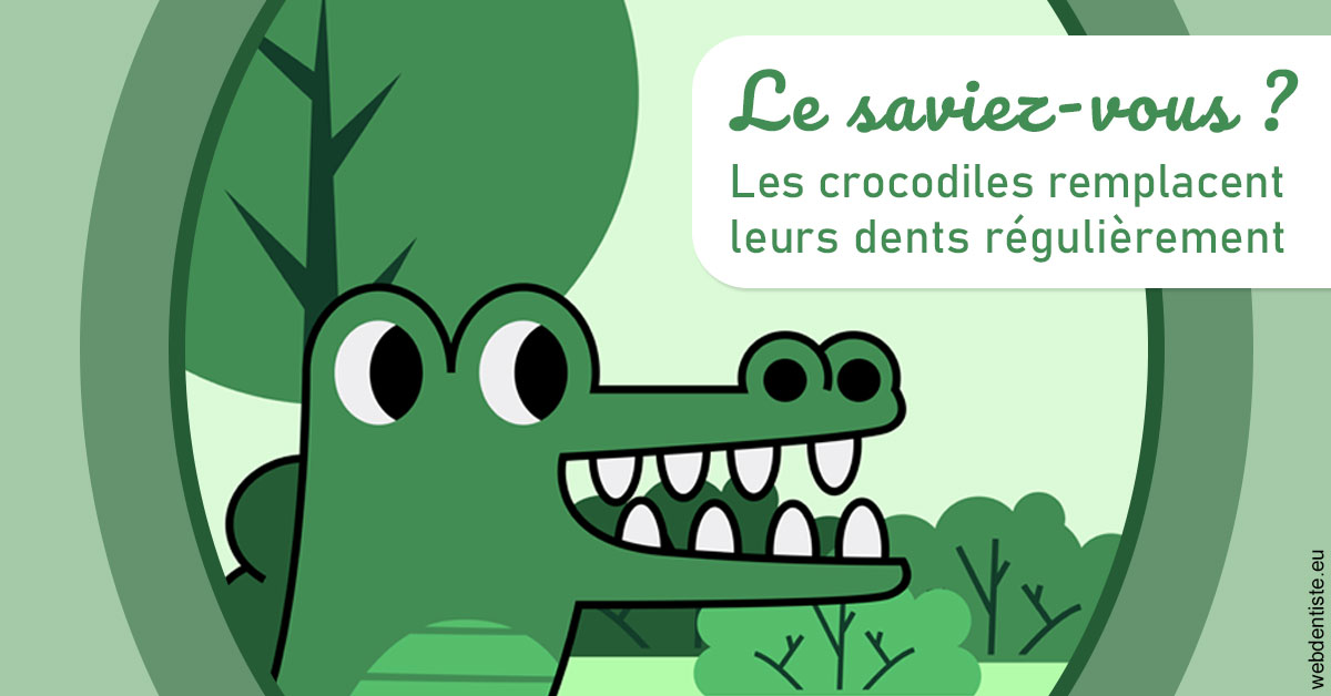 https://dr-thomas-valerie.chirurgiens-dentistes.fr/Crocodiles 2
